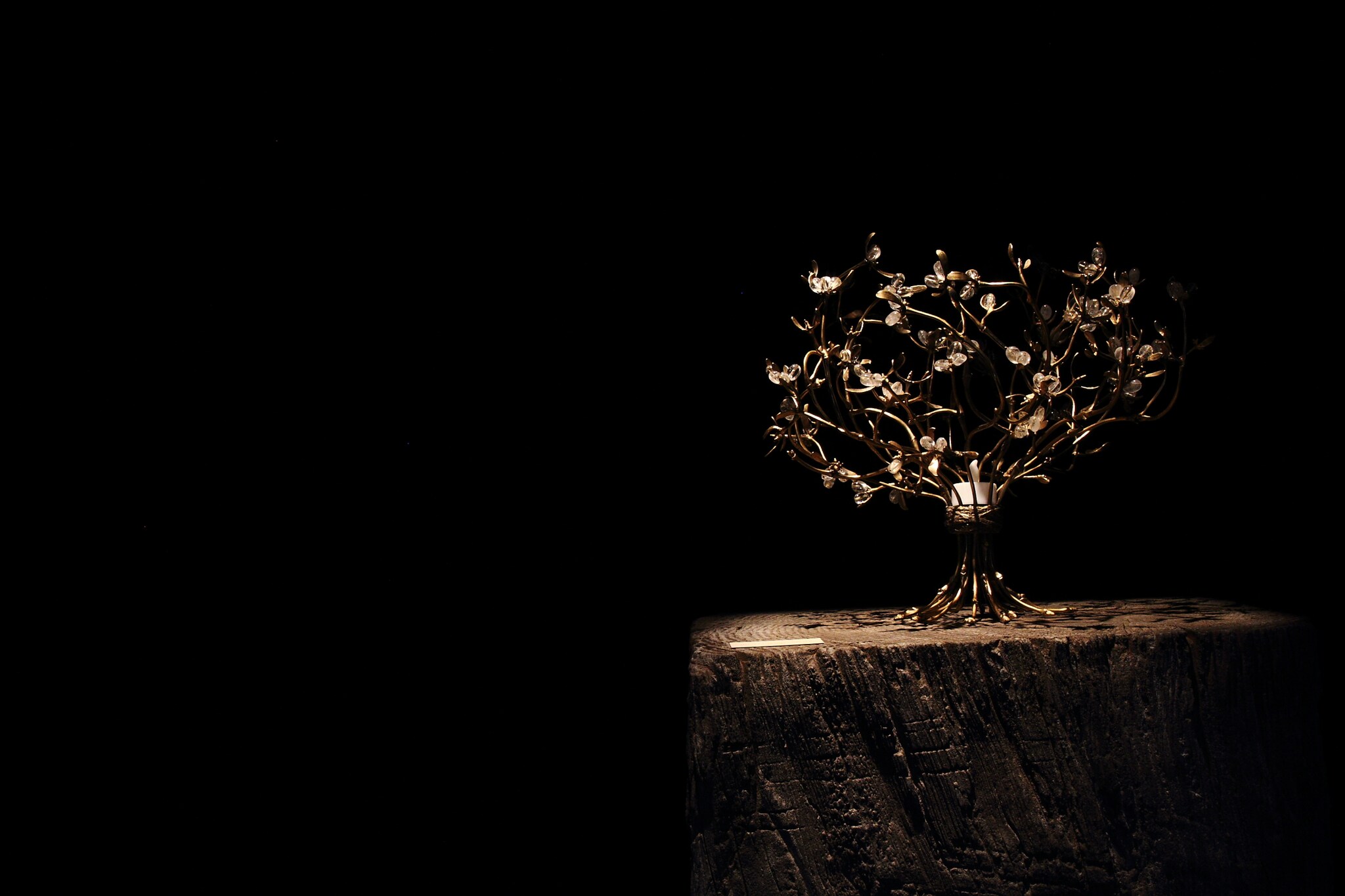 Vestigia Naturae by Harumi Klossowska de Rola